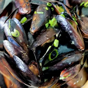 STEAMED MUSSELS