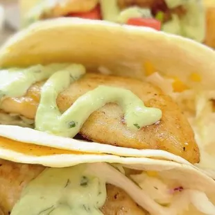 FISH TOCO&apos;S