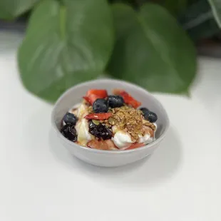 Crunchy Yogurt Bowl