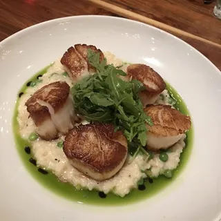 SP Seared Georges Bank Scallops