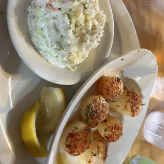 Small Fresh Sea Scallops