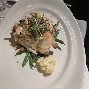 Gulf Red Snapper