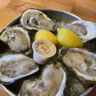 Oysters on the Half Shell