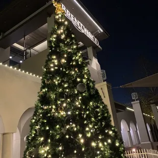 The city park's Christmas tree