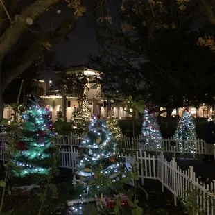 City park at Christmas