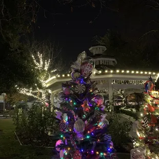 Christmas in the park -2021