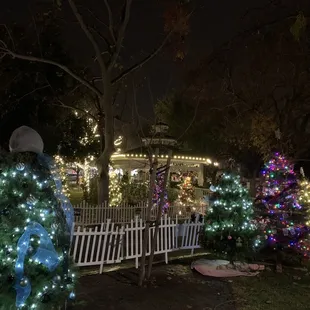 Deck the park-community decorated trees