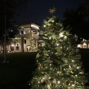 Christmas in the park