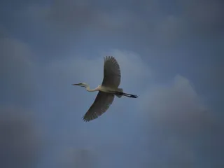 Korth's Pirates Lair Marina