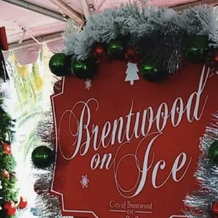 Brentwood on Ice