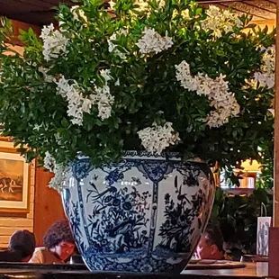 a blue and white vase with white flowers