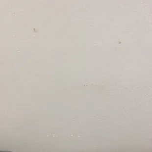 Questionable brown stains on the wall