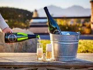 Campos Family Vineyards