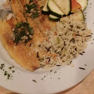 Rocky Mountain Trout