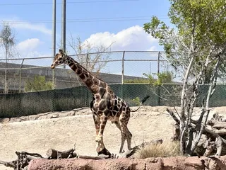 El Paso Zoo