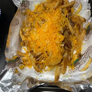 Sorry ass cheese fries (we added cheese)