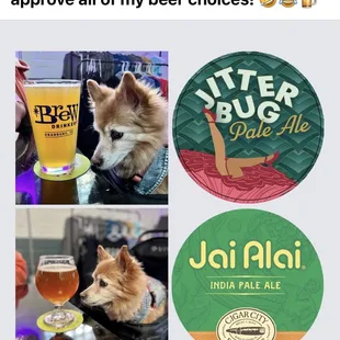 Buddy "The Wonder Dog" LOVES Brew Drinkery and do should YOU!