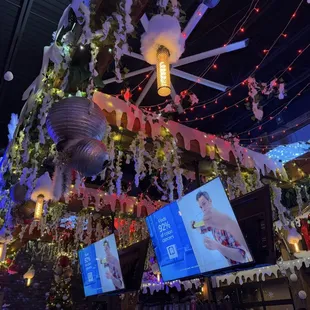 sushi and sashimi, interior