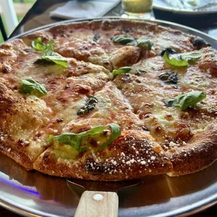 Margherita Pizza
