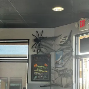 Specials and  Spider Web