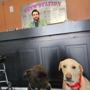 two dogs sitting in front of a bar