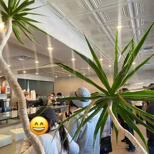 You cannot see the tables but it's there