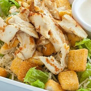 Chicken Caesar Salad