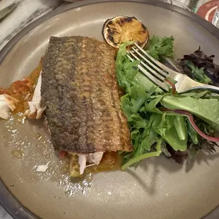 California Sea Bass