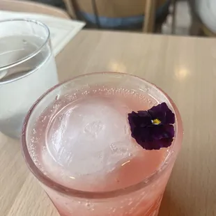 Cactus Flower