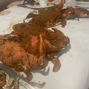 Steamed crabs