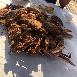 Crabs
