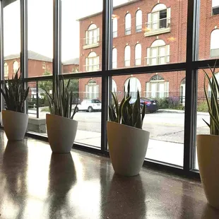 Natural light abounds, leading to minimal use of overhead lighting hanging from 20' ceiling