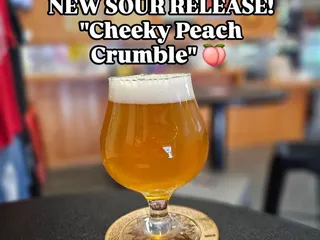 Solorio Brewing Company