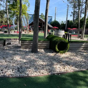 Dog play area