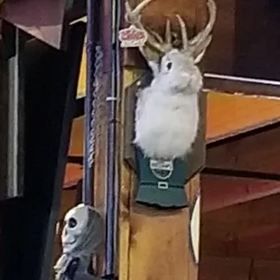 Proof!!!! They DO exist!!!