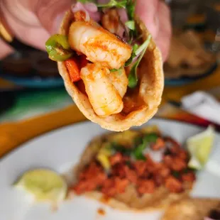 a hand holding a shrimp taco