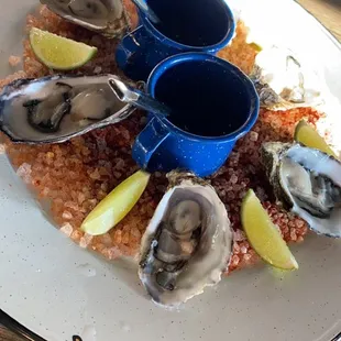 Oysters