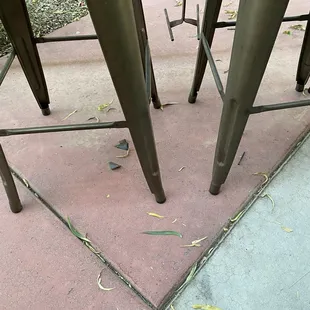 Broken glass and nails where my service animal was