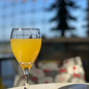 Mimosa