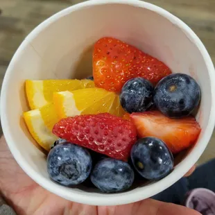 fruit cup