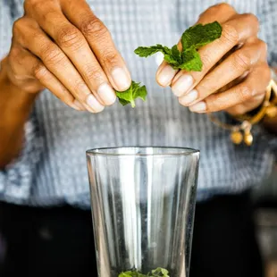 a person sprinkling mint leaves into a glass