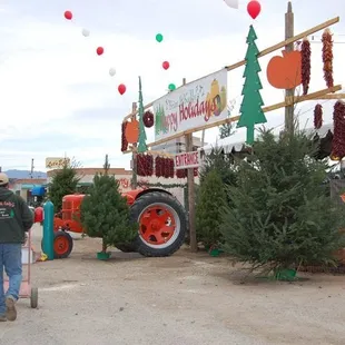 http://www.facebook.com/home.php?#!/pages/Brian-Kellys-Pumpkins-Christmas-Trees-Farmers-Market/131005048885