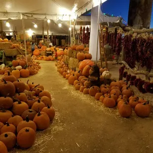 Pumpkins for the entire crew. They even sell Hatch salsa