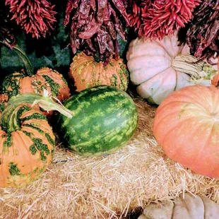 Gentlemen, I believe there is an imposter among us