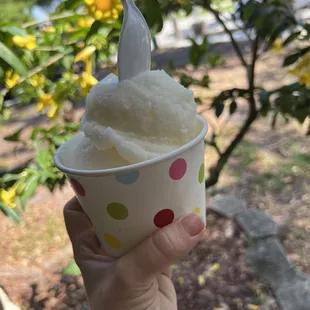 Lemon Ice