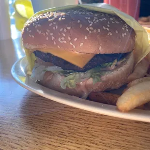 Not a bad look, driefresh hot and seasoned perfectly. Had to ask twice for the chili's tho. No attitude was given. Customer service great.