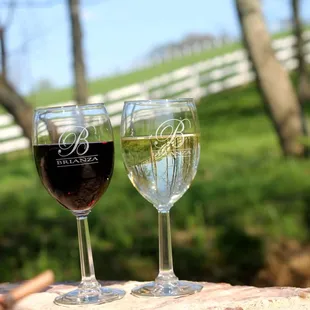 Brianza offers a variety of wines made on the property including estate wines.