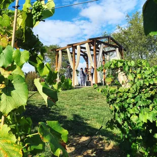 Ceremony Site