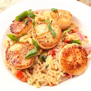 Scallops