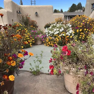 a patio with flowers and potted plants